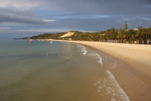 Motives for QLD survey questioned